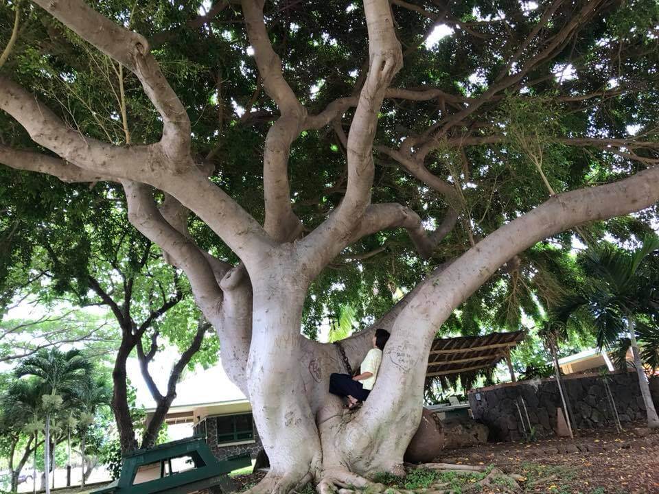 ハワイラナイ島にて